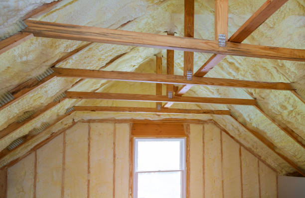 Professional Insulation Contractor in MI